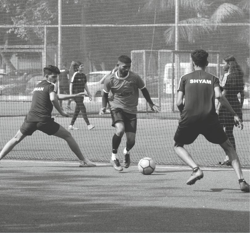 Professional-Grade Sports Facilitie :